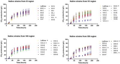 Screening of native Saccharomyces cerevisiae strains from Chile for beer production
